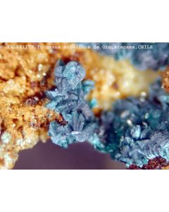 Zalesiite xx; Inca de Oro, Chile; KS