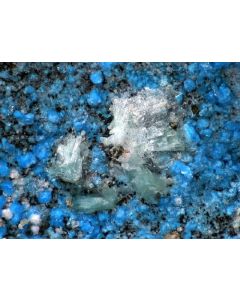 Ondrusite xx; Svornost Mine, Jachimov, Czech Republic; KS