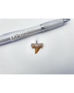 Shark teeth; wired as pendant, Morocco; 1 piece