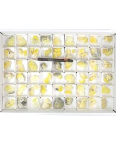 Brucite xls; Pakistan; 1 flat; unique