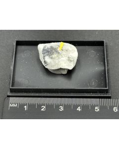 Incomsartorite xls; Lengenbach Mine, Binntal, Valais, Switzerland; Min; unique piece
