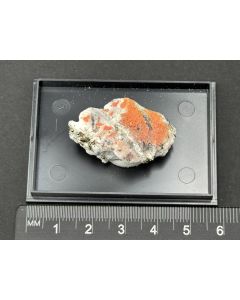 Edenharterite, Realgar xls; Lengenbach Quarry, Binntal, Valais, Switzerland; Min; unique piece
