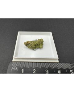 Cuprotungstite (xls); Crystal Peak, Sierra Co., CA, USA; TN; unique piece