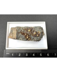 Descloizite xls; C+B Vanadium Mine, AZ, USA; Scab; unique piece
