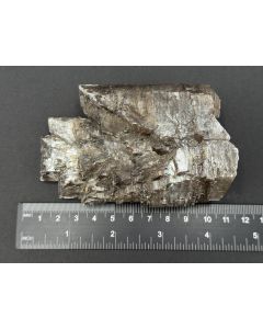 Gypsum xls ("Swallowtail Twins"); Borken, Hesse, Germany; unique piece