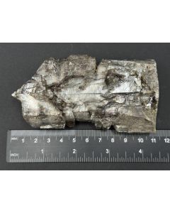 Gypsum xls ("Swallowtail Twins"); Borken, Hesse, Germany; unique piece
