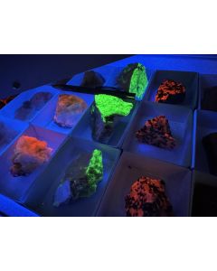 UV Minerals (mixed); Franklin Furnace, Sussex County, New Jersey, USA; 1 flat; unique