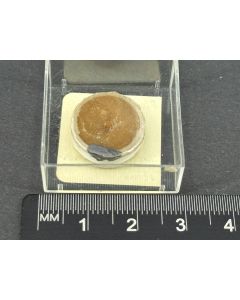Fluocerite-(Ce) (TYPE!); F-2, Central Kazakhstan, Kazakhstan; TN; unique piece
