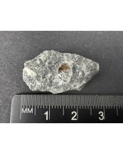 Fluorapophyllite xls (white); Aris, Namibia; TN; unique piece

