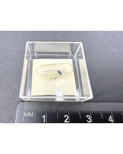 Frolovite; Solongo, Buryatia, Russia; capsule; unique piece