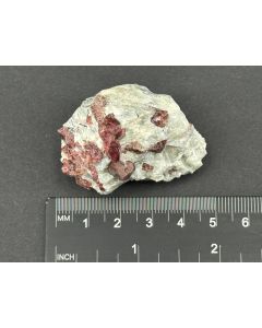 Eudialyte xls; Flora, Kola, Russia; Min; unique piece
