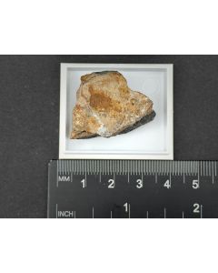 Ferberite; Silverton, CO, USA; Min; unique piece