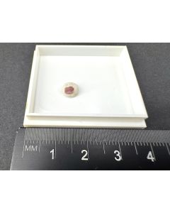 Ericaite xl; Bischofferode, Thuringia, Germany; TN; unique piece
