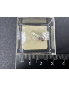 Fedotovite; Tolbachik Volcano, Kamchatka, Russia; capsule; unique piece