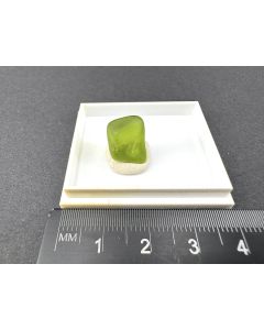 Forsterite; Peridot, AZ, USA; TN; unique piece