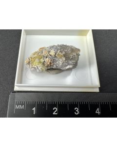 Forsterite xls; Arandis, Namib, Namibia; Min; unique piece