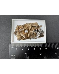Embolite xls; Central Mine, Broken Hill, Australia; Min; unique piece
