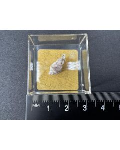 Ellenbergerite; Martiniana Po, Liguria, Italy; TN; unique piece
