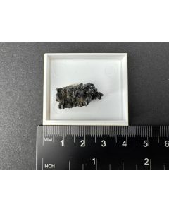 Enargite xls; Cerro de Pasco, Peru; Min; unique piece