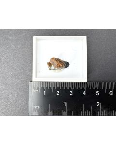 Fenaksite (xls); Khibiny, Kola, Russia; TN; unique piece