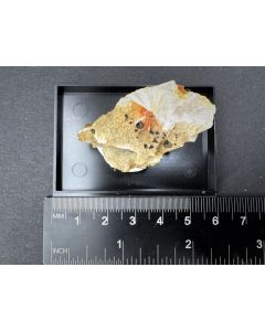 Ferrierite (xls); Kamloops, BC, Canada; Scab; unique piece