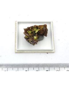 Meta - Autunite xls (UV/FL); Streuberg open pit, Bergen, Vogtland, Saxony, Germany; Min; unique piece