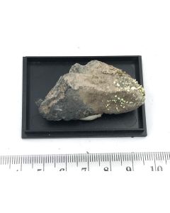 Schröckingerite xls; Johanngeorgenstadt, Saxony, Germany; Min; S2; unique piece