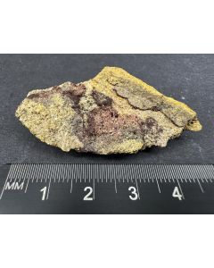 Metahewettite xls; Sunday No. 2 Mine, San Miguel Co., CO, USA; Cab; unique piece