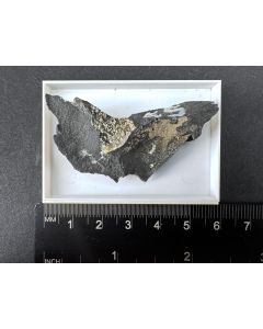 Heliophyllite xls; Pacha Limani, Laurion, Greece; Min; unique piece