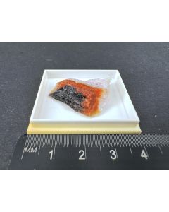 Groutite crystals; Petrified Forest, Arizona, USA; Min; unique piece