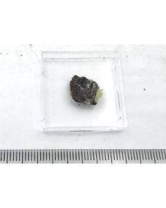 Holtedahlite; Overntjern, Snarum, Norway; TN