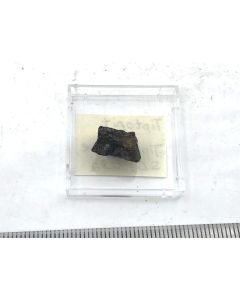 Tiptopite xx; Tip Top Mine, SD, USA; TN