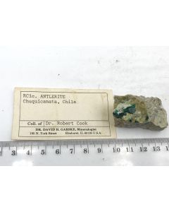 Antlerite xx; Chuquicamata, Chile; Min