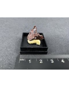 Ferritungstite crystals; Clara Mine, Black Forest, Germany; MM; unique piece