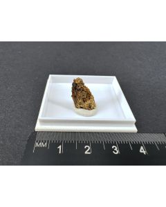 Ferroselite crystals; Ambrosia Lake, McKinley County, New Mexico, USA; MM; unique piece