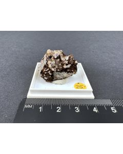 Fersmanite crystals; Khibiny, Kola Peninsula, Russia; KS; unique piece