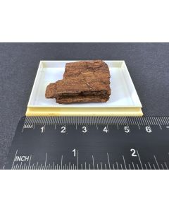Hartite crystals; Santa Barbara Mine, San Giovanni Valdarno, Italy; KS; unique piece