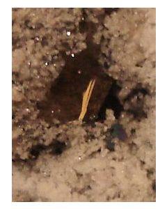 Holfertite xls; Stravation Canyon, Topaz Mtns., Utah, USA; MM