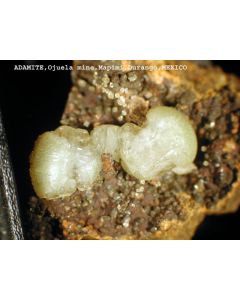 Adamite xx; Mina Ojuela, Durango, Mexico; MM
