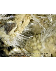 Clinocervantite xx; Tafone Mine, Manciano, Grosseto, Tuscany, Italy; MM