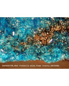 Papagoite (xx); Ajo, AZ, USA; capsule