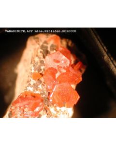 Vanadinite xx; Mibladen, Midelt, Morocco; MM