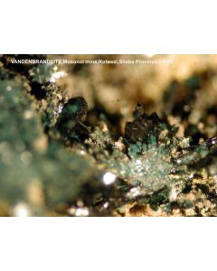 Vandenbrandeite; Musonoi Open Pit, Kolwezi, Shaba Province, Dem. Rep. of Congo; MM