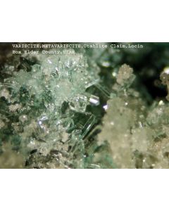 Variscite xx; Utah Lite Claim, Lucin, UT, USA; KS