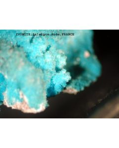 Yvonite xx; Salsigne Gold Mine, Aude, France; KS