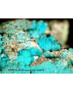 Yvonite xx; Salsigne Gold Mine, Aude, France; MM