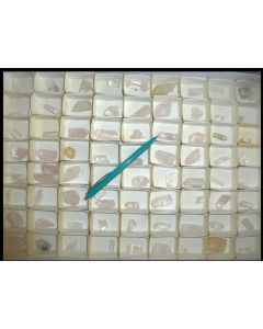 Danburite X; Mina La Aurora, Charcas, San Luis Potosi, Mexico; MM