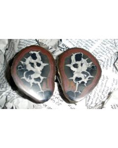 Septaria-pairs (polished) 2-3 cm, Morocco, 10 pairs