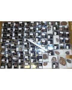 Pseudobrookite xls, Ajo, AZ, USA, 1 flat