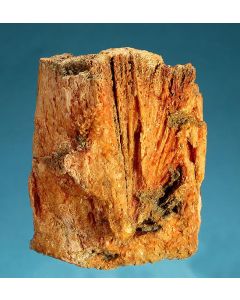 Halit; Wansleben, Germany; NS